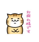 なにかと丁寧な猫（個別スタンプ：2）