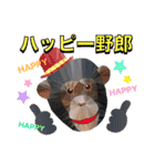 3Dアートグラフィックアニマルズ 第2弾（個別スタンプ：29）