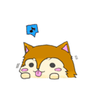 ぽちゃ柴（個別スタンプ：8）
