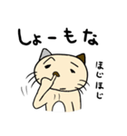 毎日ねこスタンプ男1（個別スタンプ：13）
