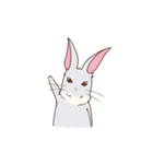 おてんばウサギ（個別スタンプ：38）