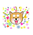 柴犬ちゅばるん（個別スタンプ：3）