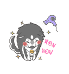 ITIM ＆ WANYEN by May Pitchy（個別スタンプ：24）