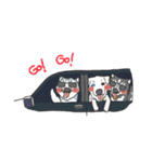 ITIM ＆ WANYEN by May Pitchy（個別スタンプ：34）