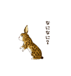 ヒョウ柄うさぎ（個別スタンプ：15）