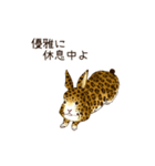 ヒョウ柄うさぎ（個別スタンプ：23）
