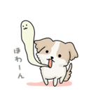 シーズーコタロウくんの毎日（個別スタンプ：3）