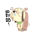 Pet Paradise 01（個別スタンプ：8）