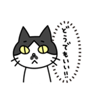 続・心の声だだ漏れ白黒猫のチョビ（個別スタンプ：38）