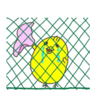 ピヨピヨ（個別スタンプ：15）