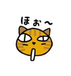 基本の にゃんず（個別スタンプ：30）