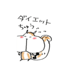 リスのコータ（個別スタンプ：1）