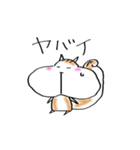 リスのコータ（個別スタンプ：5）