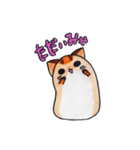 とらまるにゃんこ（個別スタンプ：30）