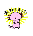 きょんここのゆるうぱすたんぷ2（個別スタンプ：10）