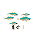 Zooと友達 水族館編（個別スタンプ：14）