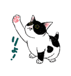 白黒こねこず（個別スタンプ：38）