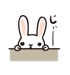 うさぎとねこ、ついでにトラとパンダ（個別スタンプ：9）