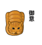あっネコがいる！（個別スタンプ：2）