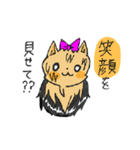 DOG！ COME ON！（個別スタンプ：22）