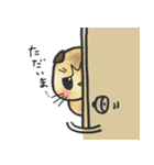 スコティッシュ猫つっこ（個別スタンプ：10）
