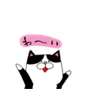ねこじろうのねこスタンプ2（個別スタンプ：1）