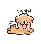トイプードルと365日（個別スタンプ：3）