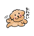トイプードルと365日（個別スタンプ：26）