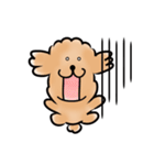 トイプードルと365日（個別スタンプ：39）