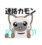 ニャンコちゃんスタンプ（個別スタンプ：7）