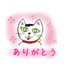 くまこと蘭の犬猫シスターズ（個別スタンプ：5）