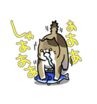 NOって言おう（個別スタンプ：7）