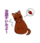 かまってワンコ ～マロン・ド・マロン～（個別スタンプ：36）