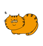 茶トラのねこちゃま。（個別スタンプ：1）