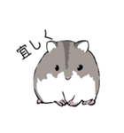 ハムスター詰め合わせ（個別スタンプ：5）