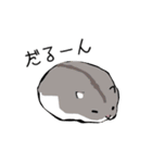 ハムスター詰め合わせ（個別スタンプ：7）