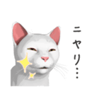 にゃんだか憎めにゃい奴。1 白猫（個別スタンプ：3）
