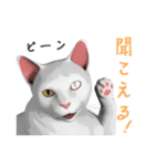 にゃんだか憎めにゃい奴。1 白猫（個別スタンプ：26）