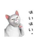 にゃんだか憎めにゃい奴。1 白猫（個別スタンプ：28）