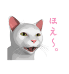にゃんだか憎めにゃい奴。1 白猫（個別スタンプ：37）