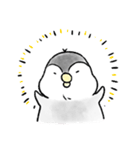 ぽちゃペン- ぽちゃぽちゃしたペンギン（個別スタンプ：21）