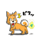 九州男犬 2nd（個別スタンプ：1）