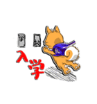 九州男犬（個別スタンプ：33）