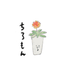 植物さんとエトセトラ（個別スタンプ：38）