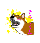 イケメン柴犬モモと愉快な仲間達（個別スタンプ：10）