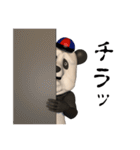 メタボ★PANDA（個別スタンプ：13）