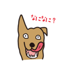 ぶちゃいぬ（個別スタンプ：7）
