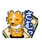 犬本  コリキ（個別スタンプ：23）