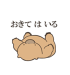 ウォンバットっち（個別スタンプ：18）