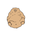 ウォンバットっち（個別スタンプ：22）